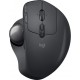 Logitech Souris Sans Fil Ergo